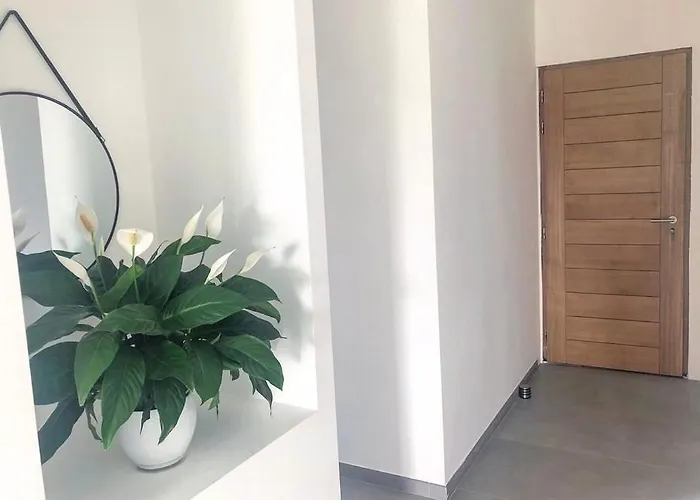 Maisondrs Porto-Vecchio (Corsica)